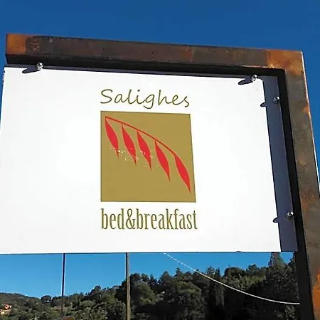 Salighes 3*